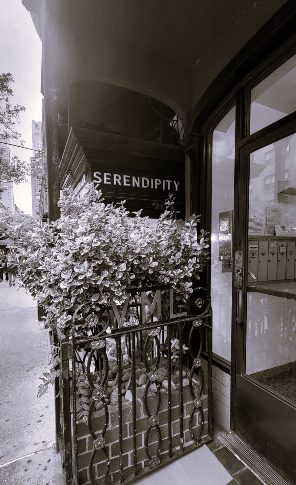 Serendipity 3